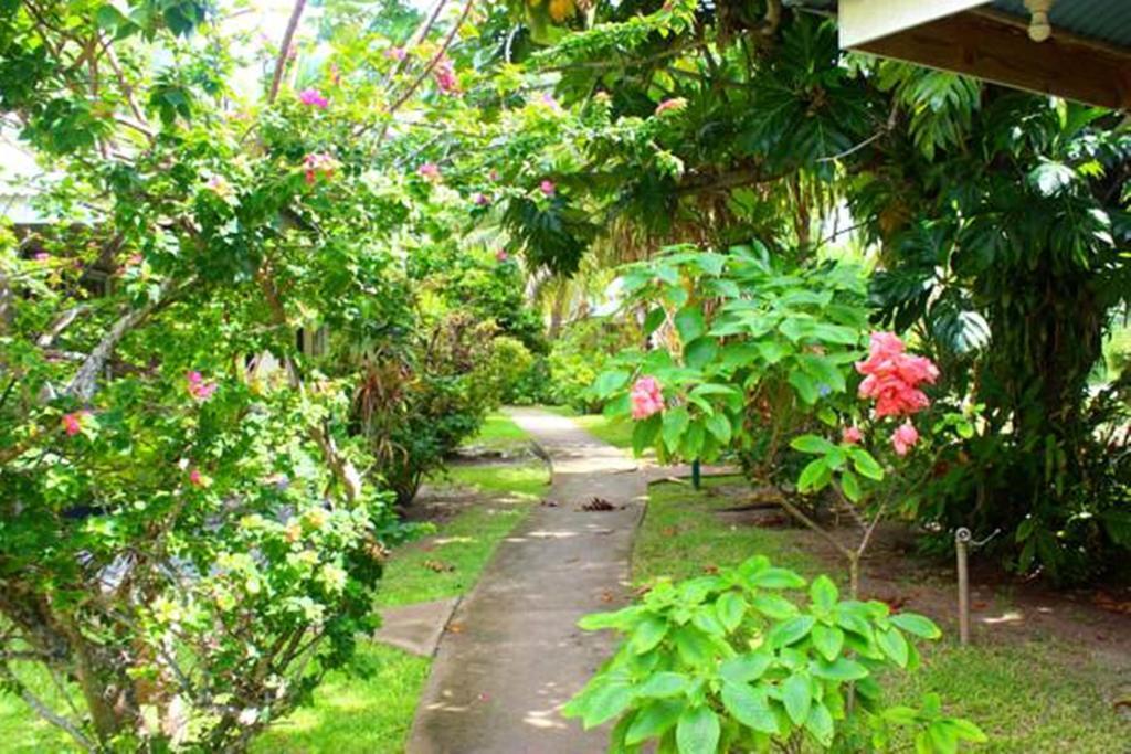 Pension Fare Maeva Huahine Szoba fotó